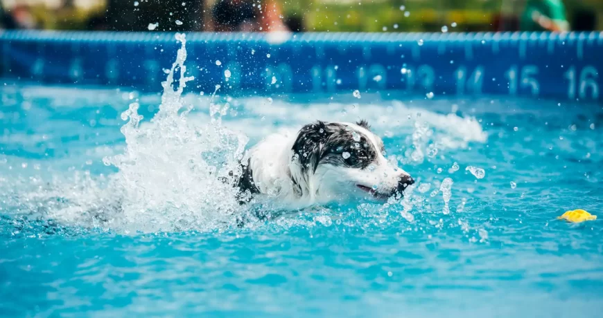 Qual o melhor modelo de piscina para você?