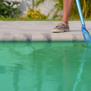 Porque piscina fica verde?