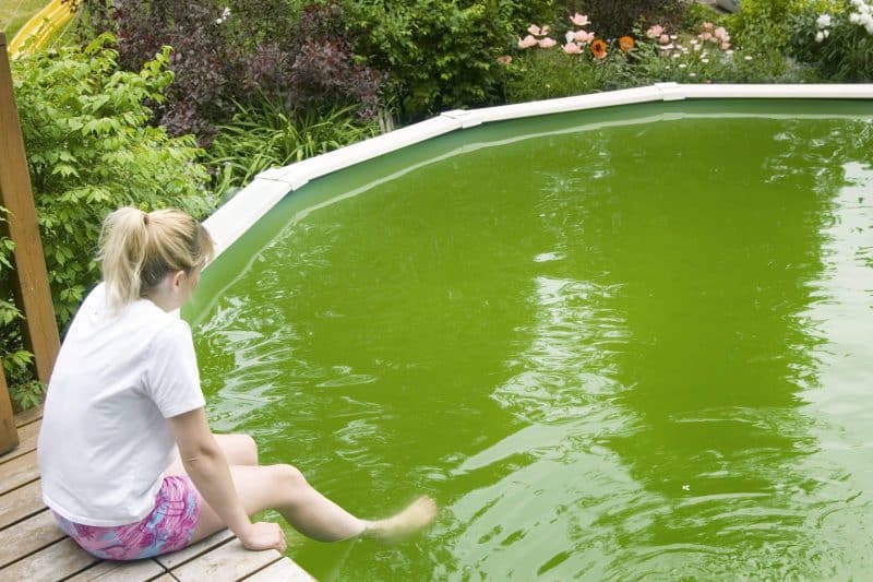 Porque piscina fica verde?