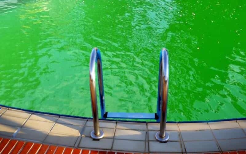 Porque a piscina fica verde ao colocar cloro?